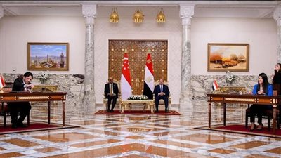 المشاط: مصر حريصة على تقوية العلاقات التجارية والاستثمارية والاقتصادية مع سنغافورة 