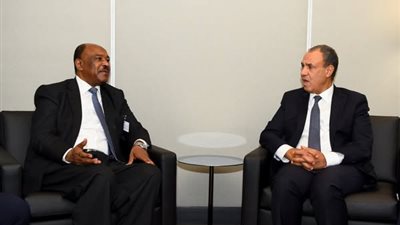 وزير الخارجية: دعم كامل لوحدة السودان واستقراره