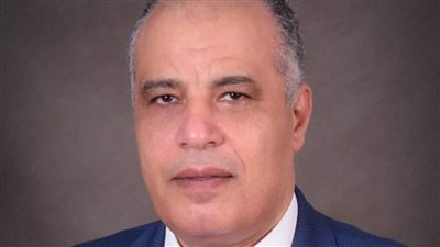  علاء عزوز: الغابات الشجرية.. رئة الأرض وكنز مصر الأخضر نحو التنمية المستدامة