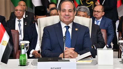 بعد غدر أمريكا وغياب روسيا والصين.. هل تبحث مصر عن حليف استراتيجي لحماية أمنها القومي؟.. ملف