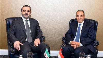 وزير الخارجية: ندعم وحدة سوريا ونرفض الانتهاكات الإسرائيلية والتدخلات الخارجية