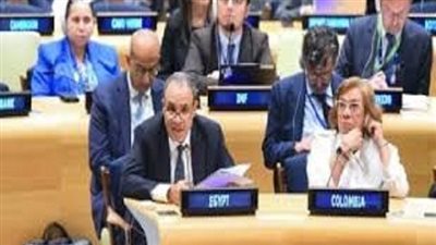 وزير الخارجية: لا استقرار بالمنطقة دون دولة فلسطينية ولن نشارك في نكبة جديدة