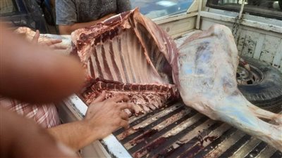 حملات تموينية تكشف عن بلاوي بالمنيا 