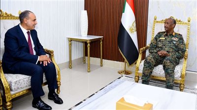 وزير الخارجية لـ«البرهان»: مصر تواصل جهودها لتحقيق الاستقرار بالسودان 