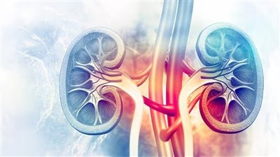 هل تعاني من التهابات المسالك البولية المتكررة؟ قد تؤدي لهذا المرض الخطير