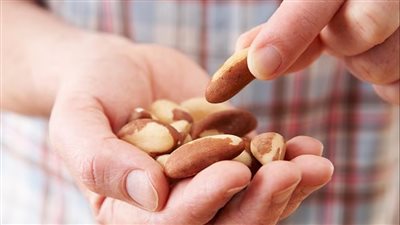 فوائد المكسرات الصحية.. أكثر من مجرد إنقاص الوزن 
