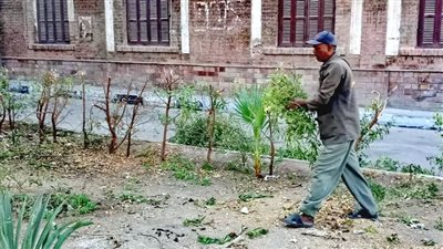 «مدينة الأقصر» تشن حملة لرفع كفاءة المسطحات الخضراء والميادين العامة (صور)