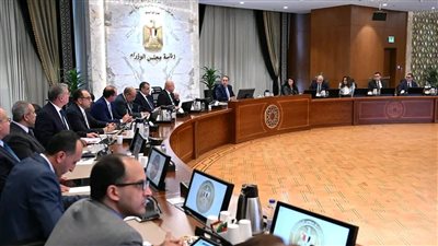 رئيس الوزراء يناقش مستجدات تنفيذ مشروعات قطاع الطاقة