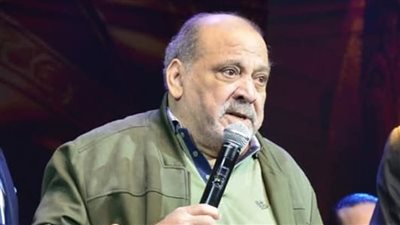 ضياء الميرغني: 