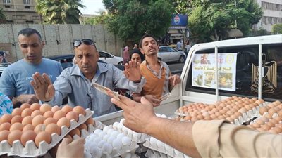 بأسعار مخفضة.. «الزراعة» تطلق 7 منافذ متحركة لبيع بيض المائدة للمواطنين بالقاهرة