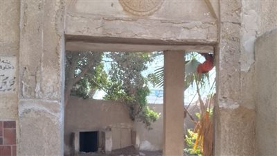 سرقة المقابر في حلوان.. فيديو صادم يقود لكشف عصابة الأبواب الحديدية (صور) 