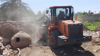 حملة لإزالة التعديات على الأراضي الزراعية بالأقصر (صور)