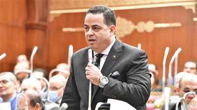 النائب عصام هلال: نجاح الوساطة المصرية في وقف إطلاق النار بغزة «إنجاز وطني ودبلوماسي»