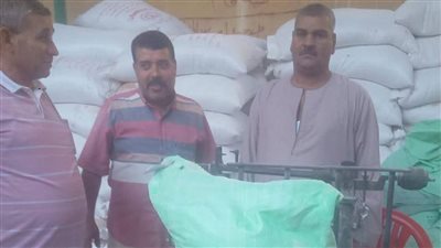 «تموين المنيا»: تحرير 164 مخالفة تموينية وضبط أسمدة وسلع مدعمة خلال حملات موسعة 