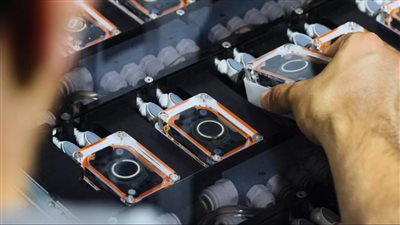 أكثر من 10 آلاف شخص يسعون لزرع شريحة الدماغ في رؤوسهم