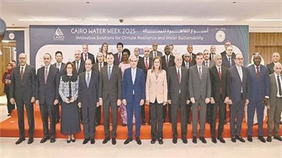 وزير الخارجية: لا تملك أى دولة منع وصول المياه إلى مصر