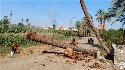 بالصور.. رفع وإزاحة المعوقات بطريق «منشية النوبة» جنوب الأقصر