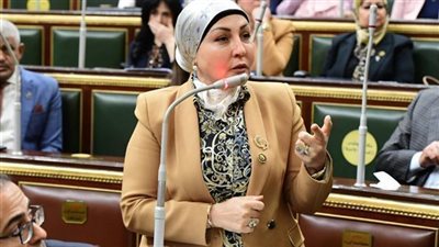 عضو بمجلس النواب: اللجنة المصرية الإغاثية بغزة تجسد التزام مصر الإنساني 