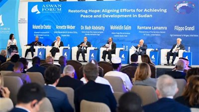 وزير الخارجية: لا يوجد حل عسكري للأزمة السودانية ويجب التوصل لهدنة إنسانية