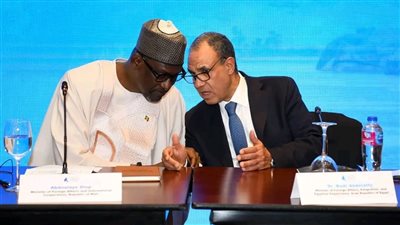 وزير الخارجية يؤكد ضرورة تضافر الجهود لدعم دول الساحل الأفريقي في مواجهة الإرهاب