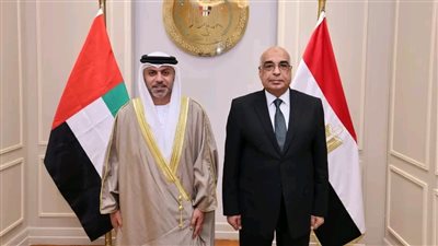 تفاصيل لقاء وزير العدل بسفير دولة الإمارات بالقاهرة