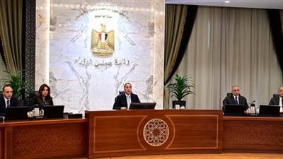 مدبولي: رفع درجات الاستعداد القصوى استعدادا لافتتاح المتحف الكبير 