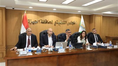 الجيزة: مراجعة دورية لأعمدة الإنارة والأكشاك الكهربائية وتغطية الكابلات وعزلها استعداد للشتاء