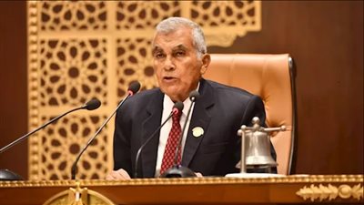 بالأسماء.. تشكيل هيئات مكاتب اللجان النوعية في مجلس الشيوخ (صور)