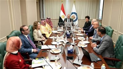 وزير البترول: علاقاتنا مع دول الجوار تاريخية وأسفرت عن عدة مشروعات استراتيجية 