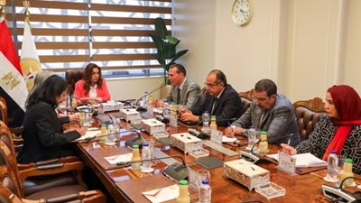 وزيرة التنمية المحلية تبحث مع البنك الدولي نتائج برنامج تنمية صعيد مصر وفرص العمل المقبلة
