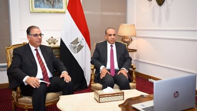  وزير الخارجية يشارك في إطلاق الصالون الثقافي للمصريين بالخارج