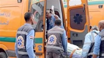 حبس صاحب محل ونجله بتهمة قتل مسن في مشاجرة بالصف