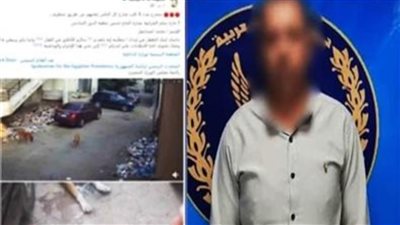 القبض على المتهم بتقديم طعام فاسد للكلاب بمنطقة الشرابية