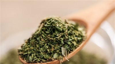 الأوريجانو.. عشبة المطبخ المضادة للبكتيريا وتحمي من العدوى