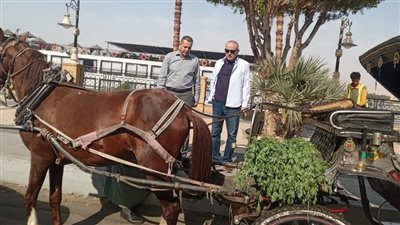 بالصور.. «محافظ الأقصر» يتفقد أعمال النظافة والتجميل بمدن ومراكز المحافظة