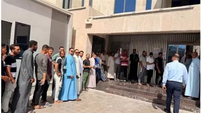 المصريون يدلون بأصواتهم بانتخابات مجلس النواب 2025 في دبي