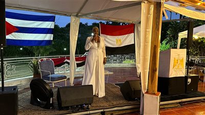 توافد المصريين على السفارة في كوبا للتصويت في انتخابات مجلس النواب 2025