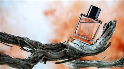 دليلك لاختيار العطر المناسب لكل مناسبة