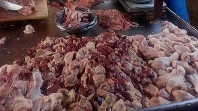 حملات تموينية مكثفة بالقليوبية تسفر عن ضبط 131 مخالفة وسلع فاسدة