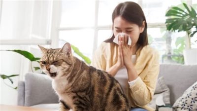 انتشار البكتيريا في الشتاء يعني مزيد من الأمراض المعدية