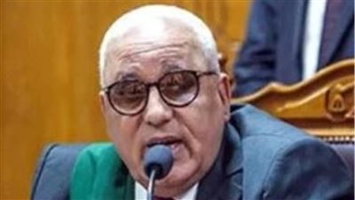 السجن 5 سنوات لمتهم في قضية «خلية العجوزة»