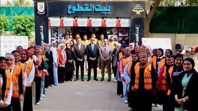 علاج الإدمان: تخريج 100 طالب من دبلوم خفض الطلب على المخدرات بجامعة القاهرة