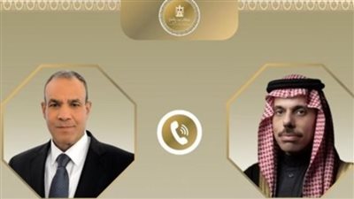 مصر والسعودية تؤكدان دعم جهود تثبيت اتفاق شرم الشيخ للسلام والبناء عليه