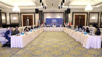 مصر تستعرض إنجازاتها في التحول الرقمي في اجتماع وزراء صحة مجموعة D-8