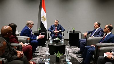 رئيس الوزراء يلتقي مسئولي شركة 