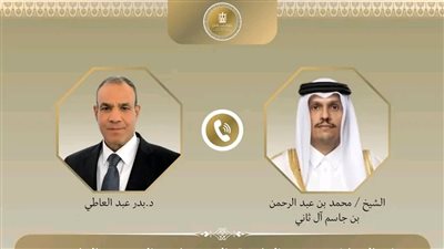 وزير الخارجية يؤكد لنظيره القطري ضرورة التنسيق بين البلدين وأمريكا وتركيا لتنفيذ اتفاق شرم الشيخ للسلام