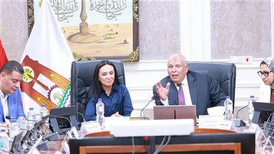 وزيرة التضامن توجه باستصلاح 5 آلاف فدان وزراعتها بالنخيل في الوادي الجديد