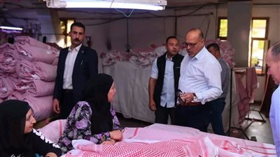 وزير العمل يضبط مخالفات متنوعة خلال جولة تفتيشية بمناطق صناعية بالسويس لتطبيق قانون العمل الجديد