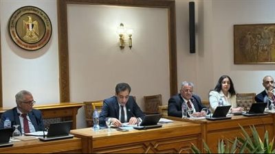 مصر وروسيا تبحثان عددا من الموضوعات القنصلية المشتركة 