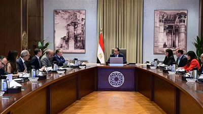 رئيس الوزراء يتابع الموقف التنفيذي لمشروعات الطاقة الجديدة والمتجددة
